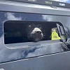Steel Canopy for Toyota Hilux + with Pet Window Doors  - Image 3