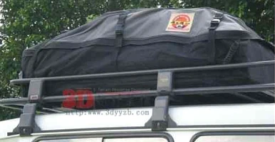 Image of Car Roof Luggage Bag